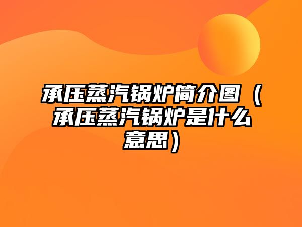 承壓蒸汽鍋爐簡介圖（承壓蒸汽鍋爐是什么意思）