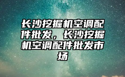 長沙挖掘機空調(diào)配件批發(fā)，長沙挖掘機空調(diào)配件批發(fā)市場