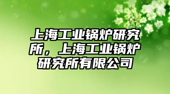 上海工業(yè)鍋爐研究所，上海工業(yè)鍋爐研究所有限公司