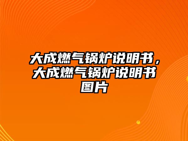 大成燃?xì)忮仩t說(shuō)明書(shū)，大成燃?xì)忮仩t說(shuō)明書(shū)圖片