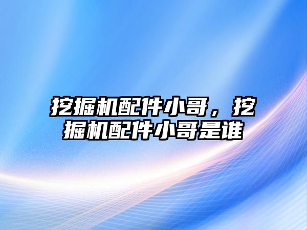 挖掘機配件小哥，挖掘機配件小哥是誰