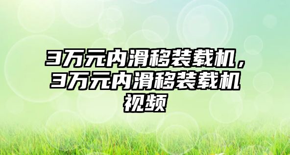 3萬元內(nèi)滑移裝載機，3萬元內(nèi)滑移裝載機視頻