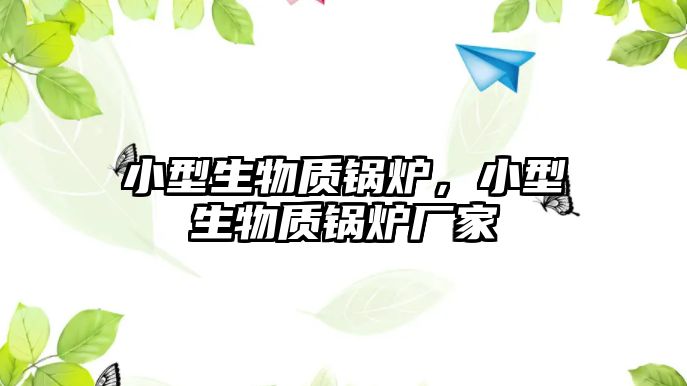 小型生物質(zhì)鍋爐，小型生物質(zhì)鍋爐廠家