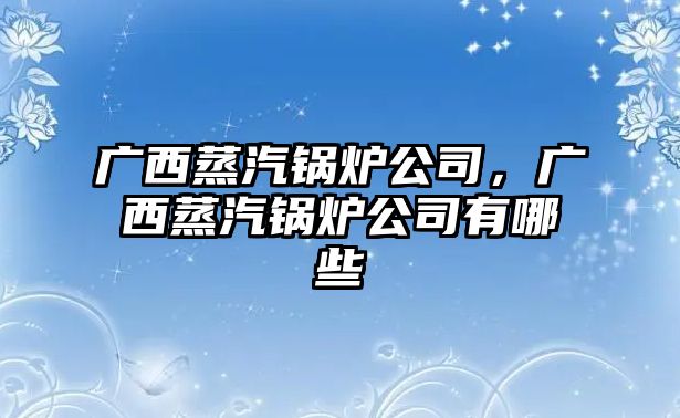 廣西蒸汽鍋爐公司，廣西蒸汽鍋爐公司有哪些