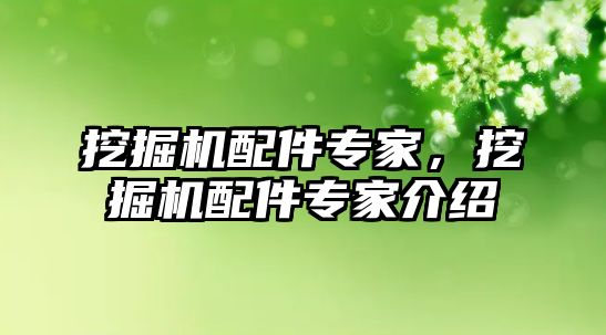 挖掘機配件專家，挖掘機配件專家介紹