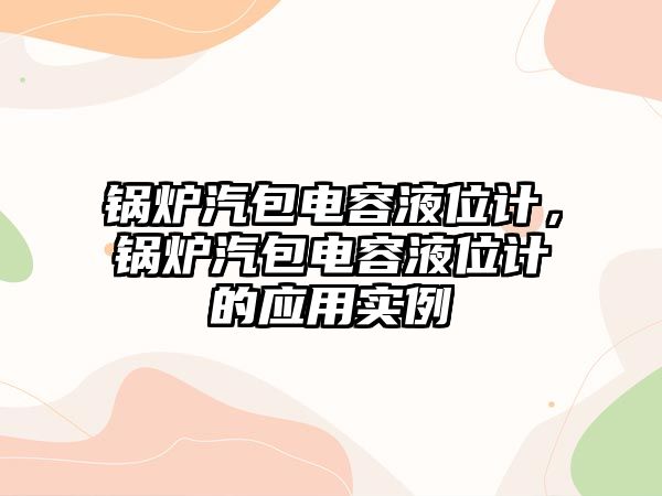 鍋爐汽包電容液位計，鍋爐汽包電容液位計的應用實例