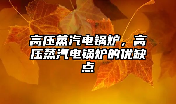 高壓蒸汽電鍋爐，高壓蒸汽電鍋爐的優(yōu)缺點(diǎn)