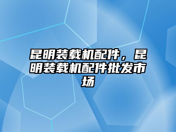 昆明裝載機(jī)配件，昆明裝載機(jī)配件批發(fā)市場