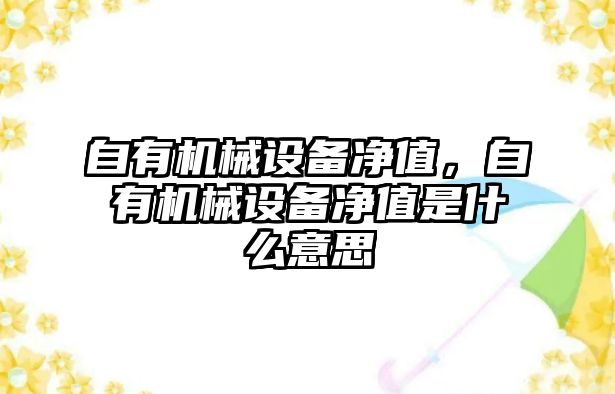 自有機(jī)械設(shè)備凈值，自有機(jī)械設(shè)備凈值是什么意思