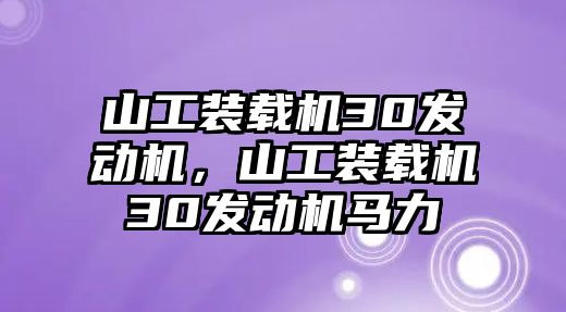 山工裝載機30發(fā)動機，山工裝載機30發(fā)動機馬力