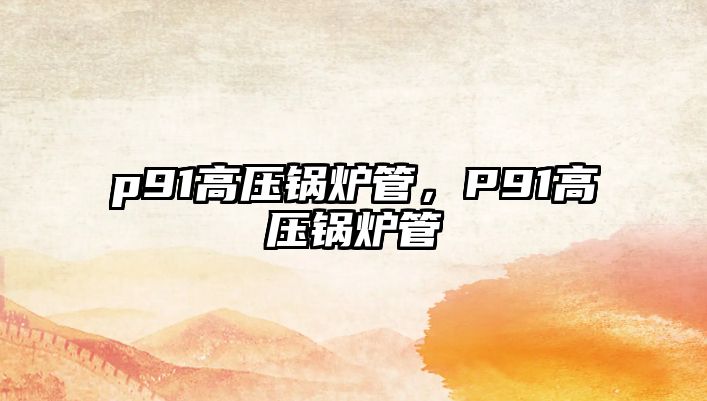 p91高壓鍋爐管，P91高壓鍋爐管