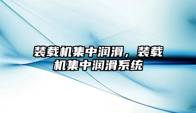 裝載機集中潤滑，裝載機集中潤滑系統(tǒng)