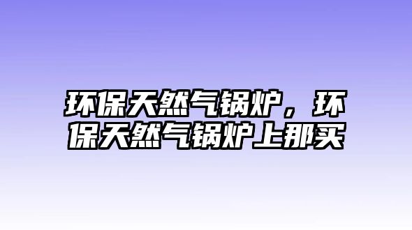 環(huán)保天然氣鍋爐，環(huán)保天然氣鍋爐上那買(mǎi)