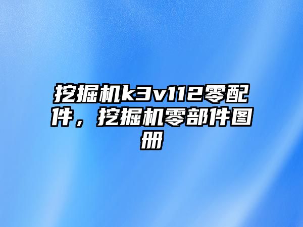 挖掘機k3v112零配件，挖掘機零部件圖冊