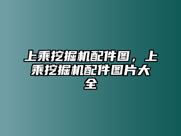 上乘挖掘機配件圖，上乘挖掘機配件圖片大全