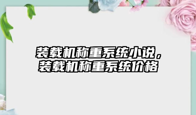 裝載機稱重系統(tǒng)小說，裝載機稱重系統(tǒng)價格