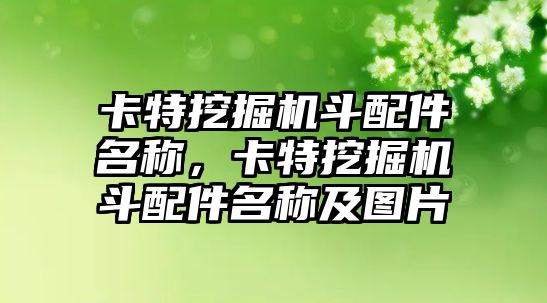 卡特挖掘機斗配件名稱，卡特挖掘機斗配件名稱及圖片