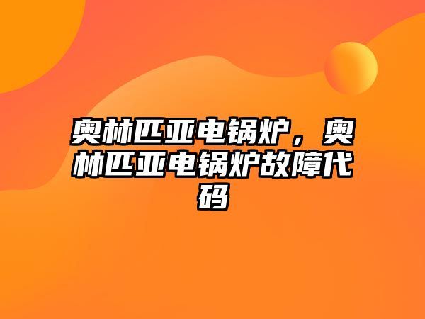 奧林匹亞電鍋爐，奧林匹亞電鍋爐故障代碼