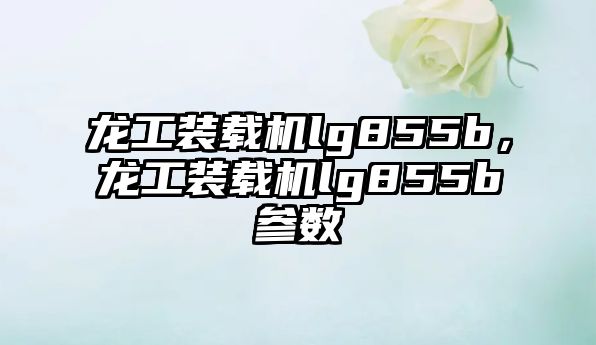 龍工裝載機lg855b，龍工裝載機lg855b參數(shù)