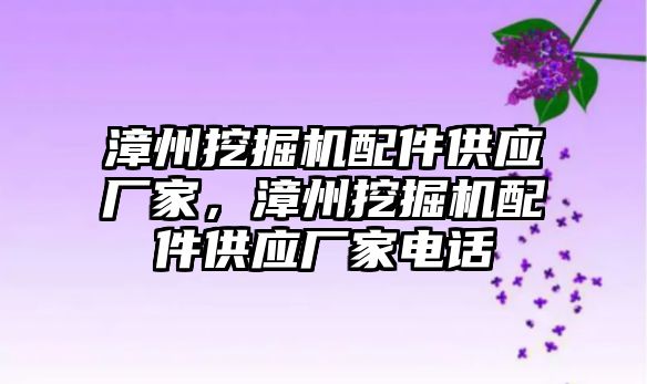 漳州挖掘機配件供應廠家，漳州挖掘機配件供應廠家電話