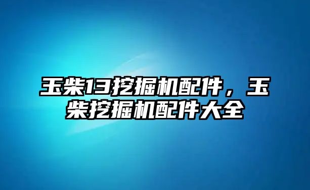 玉柴13挖掘機(jī)配件，玉柴挖掘機(jī)配件大全