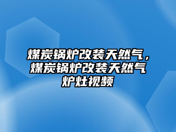 煤炭鍋爐改裝天然氣，煤炭鍋爐改裝天然氣爐灶視頻