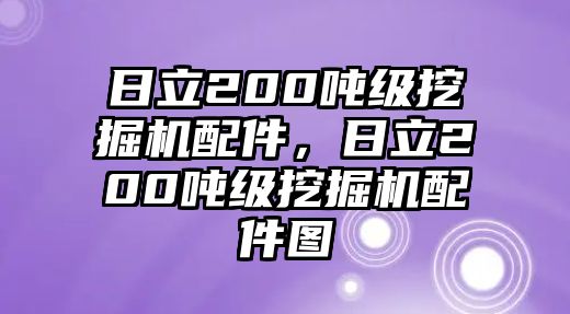 日立200噸級(jí)挖掘機(jī)配件，日立200噸級(jí)挖掘機(jī)配件圖