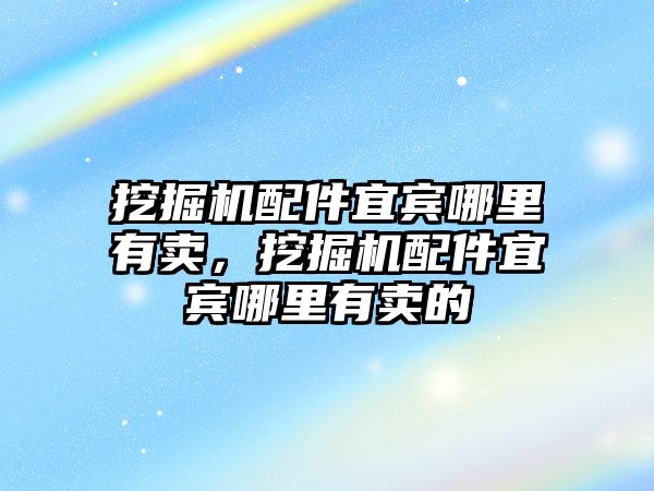 挖掘機配件宜賓哪里有賣，挖掘機配件宜賓哪里有賣的