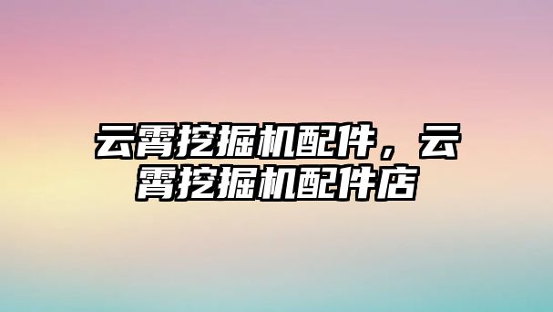 云霄挖掘機配件，云霄挖掘機配件店