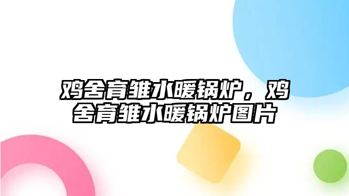 雞舍育雛水暖鍋爐，雞舍育雛水暖鍋爐圖片