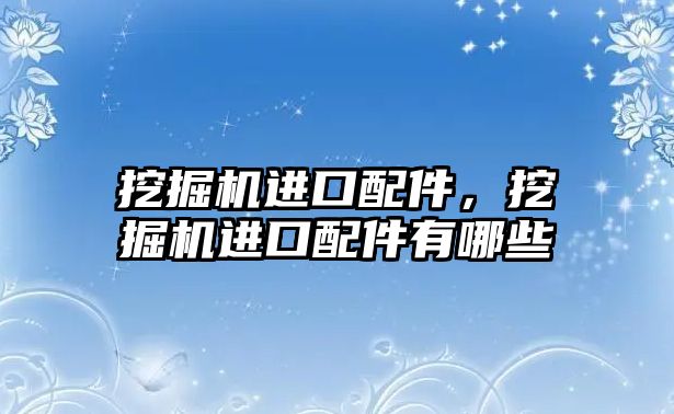 挖掘機進口配件，挖掘機進口配件有哪些