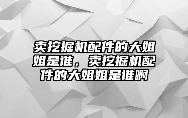 賣挖掘機(jī)配件的大姐姐是誰，賣挖掘機(jī)配件的大姐姐是誰啊