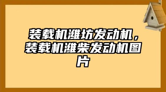 裝載機濰坊發(fā)動機，裝載機濰柴發(fā)動機圖片