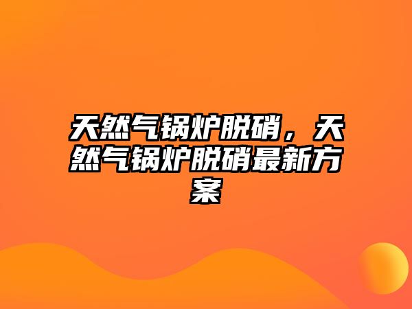 天然氣鍋爐脫硝，天然氣鍋爐脫硝最新方案