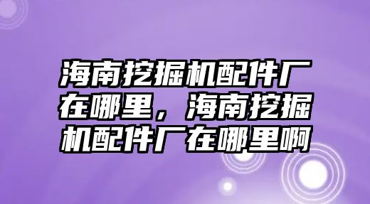 海南挖掘機配件廠在哪里，海南挖掘機配件廠在哪里啊