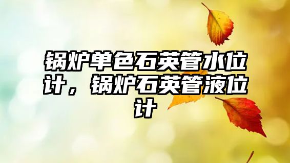 鍋爐單色石英管水位計(jì)，鍋爐石英管液位計(jì)