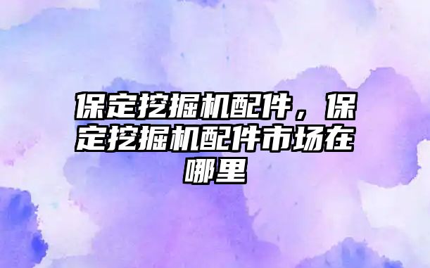 保定挖掘機(jī)配件，保定挖掘機(jī)配件市場在哪里