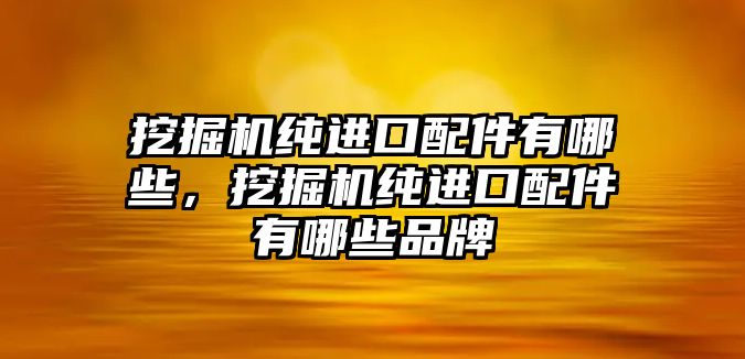 挖掘機純進口配件有哪些，挖掘機純進口配件有哪些品牌