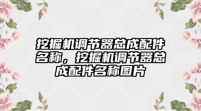 挖掘機調節(jié)器總成配件名稱，挖掘機調節(jié)器總成配件名稱圖片