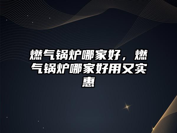 燃?xì)忮仩t哪家好，燃?xì)忮仩t哪家好用又實(shí)惠