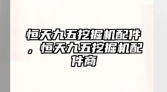 恒天九五挖掘機配件，恒天九五挖掘機配件商