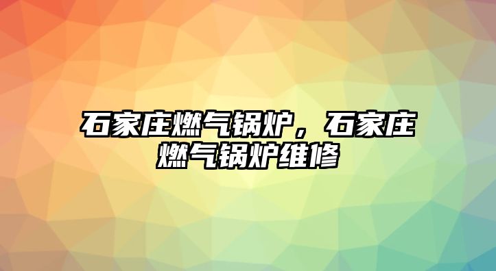 石家莊燃?xì)忮仩t，石家莊燃?xì)忮仩t維修