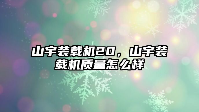 山宇裝載機20，山宇裝載機質量怎么樣