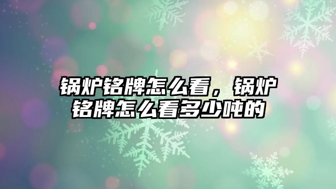 鍋爐銘牌怎么看，鍋爐銘牌怎么看多少噸的