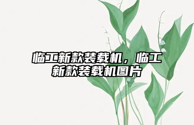 臨工新款裝載機(jī)，臨工新款裝載機(jī)圖片