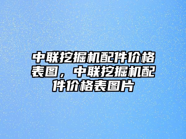 中聯(lián)挖掘機配件價格表圖，中聯(lián)挖掘機配件價格表圖片