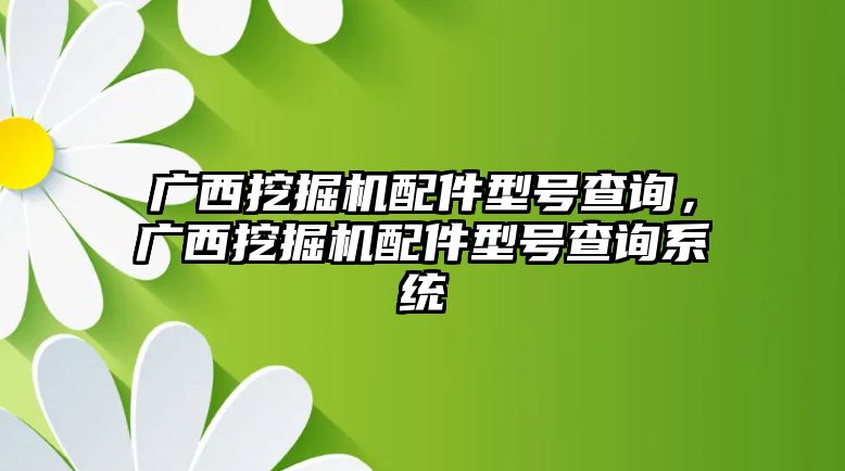 廣西挖掘機配件型號查詢，廣西挖掘機配件型號查詢系統(tǒng)