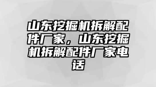 山東挖掘機拆解配件廠家，山東挖掘機拆解配件廠家電話