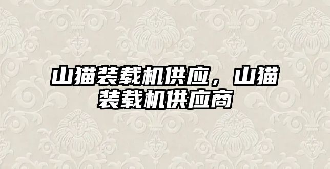 山貓裝載機供應，山貓裝載機供應商