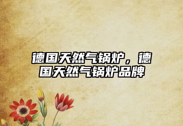 德國(guó)天然氣鍋爐，德國(guó)天然氣鍋爐品牌